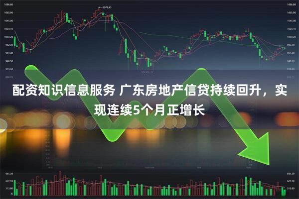 配资知识信息服务 广东房地产信贷持续回升，实现连续5个月正增长